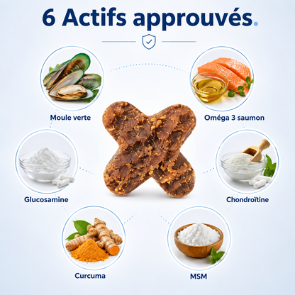 Friandises Articulations